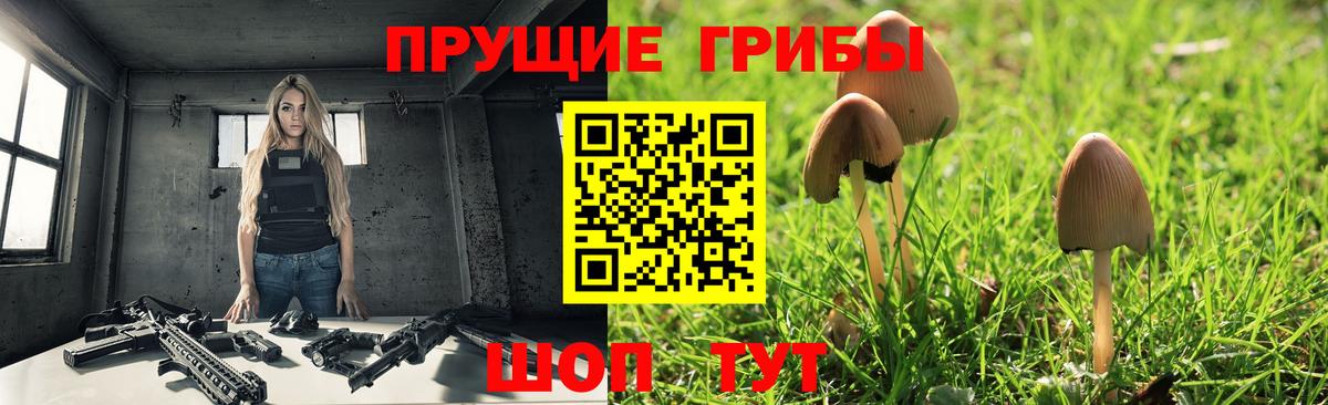Сальск  Псилоцибиновые грибы мухоморы  Псилоцибиновые грибы ЛСД  Вход с VPN 