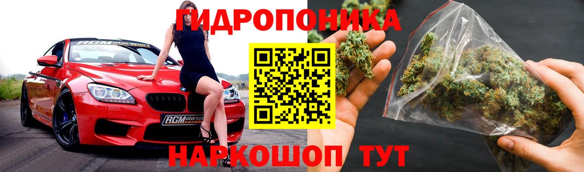 Сальск  Каннабис план  Каннабис Bruce Banner  Вход с VPN  Канабис AK-47  МАРИХУАНА LSD WEED 